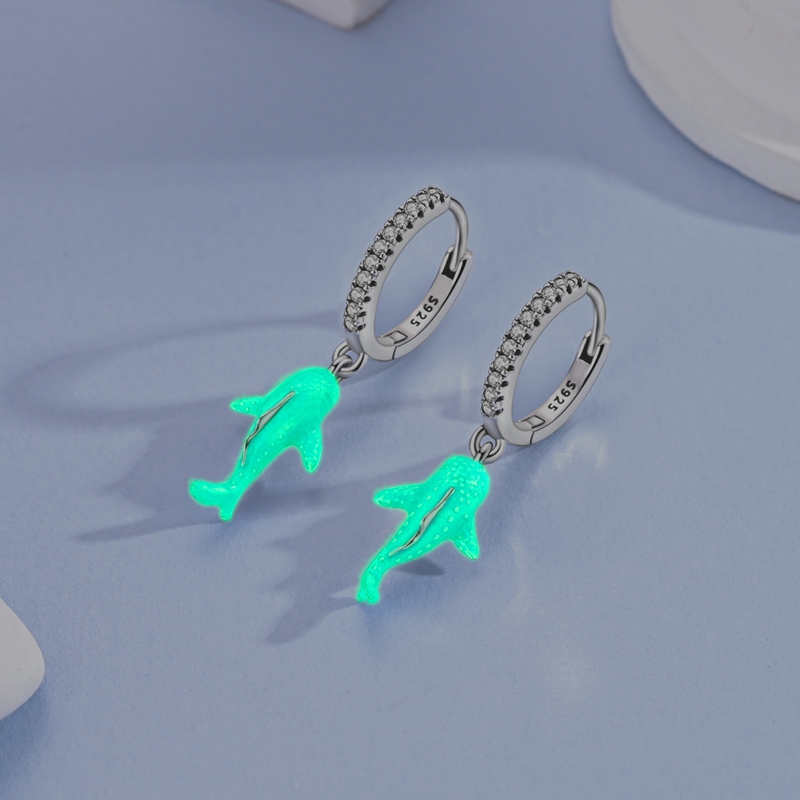 Stylish S925 Hypoallergenic Women's Classic Hoop Earrings